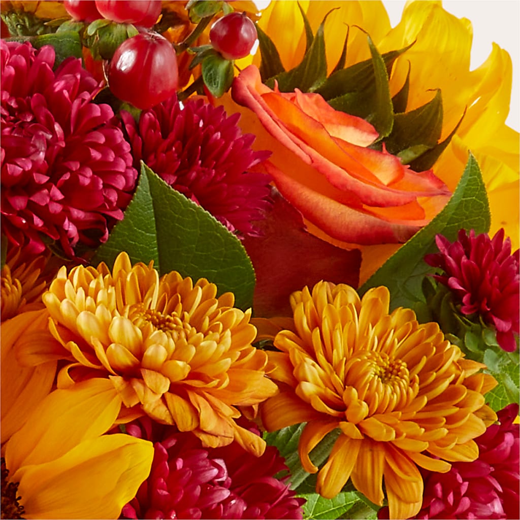 Sweater Season - A Florist Original – Flowers In The 419, Toledo OH