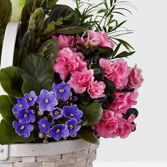 Peaceful Garden Planter – Flowers In The 419, Toledo OH