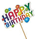 Happy Birthday Pick –  Flowers In The 419, Toledo OH