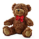 Adorable Plush Bear –  Flowers In The 419, Toledo OH