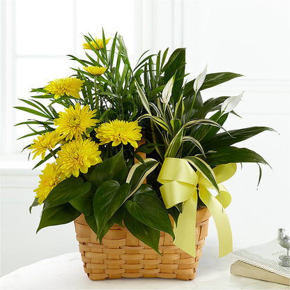 Loving Light Dishgarden –  Flowers In The 419, Toledo OH