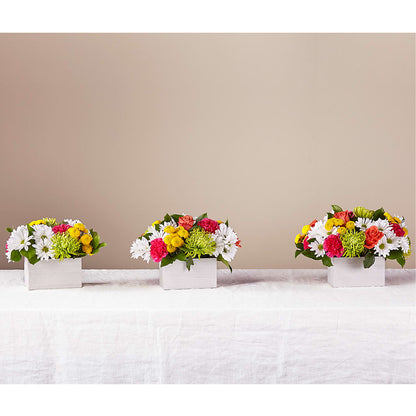 Sorbet Bouquet –  Flowers In The 419, Toledo OH