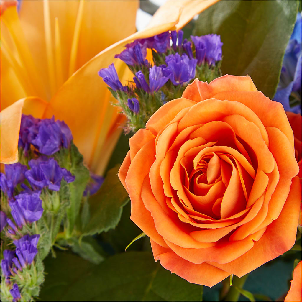 Radiant Citrus Box Bouquet –  Flowers In The 419, Toledo OH