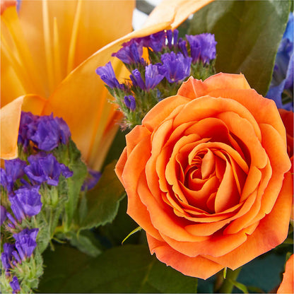 Radiant Citrus Box Bouquet –  Flowers In The 419, Toledo OH