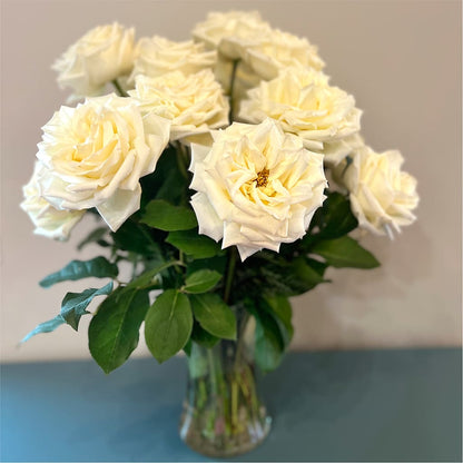 Long Stem Yellow Rose Bouquet –  Flowers In The 419, Toledo OH