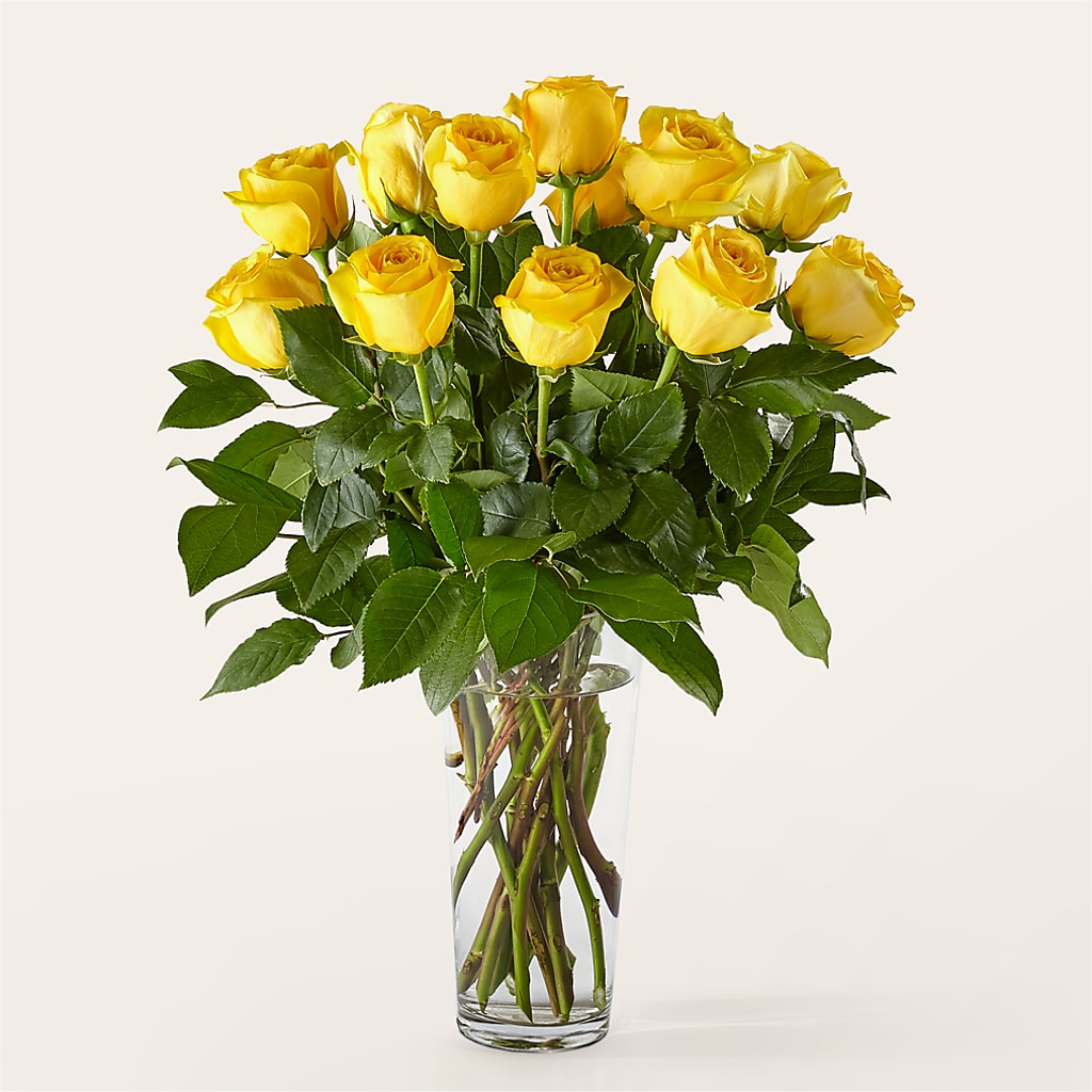 Long Stem Yellow Rose Bouquet –  Flowers In The 419, Toledo OH