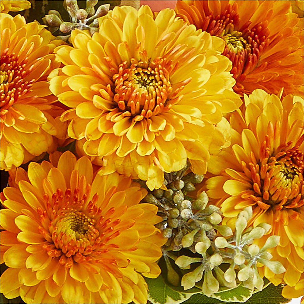 Peachy Pumpkin –  Flowers In The 419, Toledo OH
