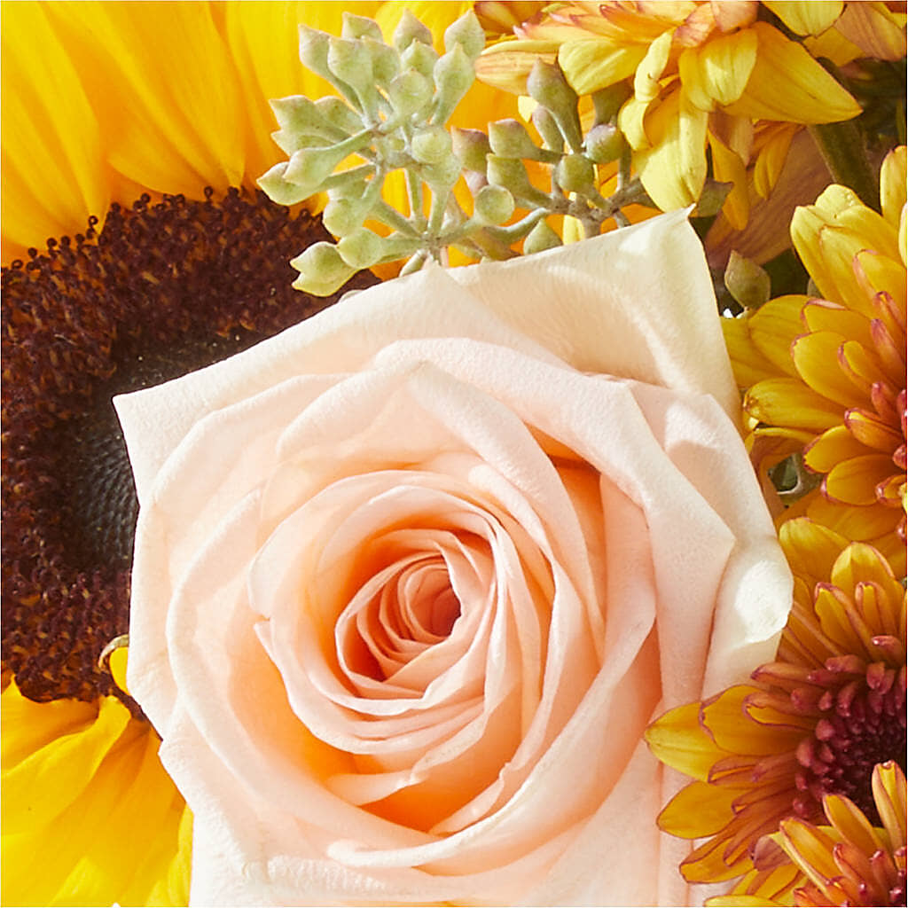 Pumpkin to Talk About Bouquet –  Flowers In The 419, Toledo OH