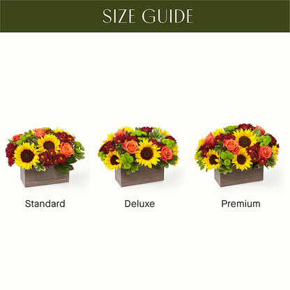 Happy Harvest Garden –  Flowers In The 419, Toledo OH