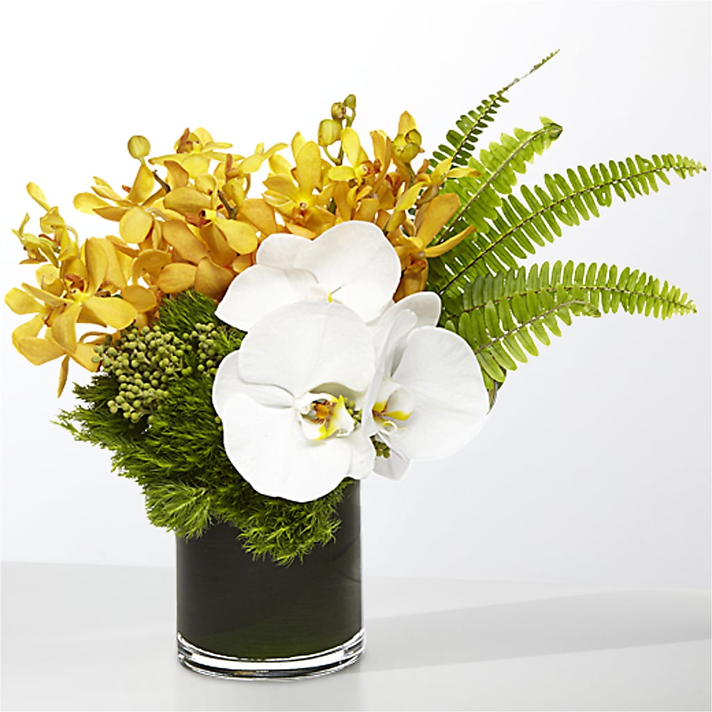 The Tropics –  Flowers In The 419, Toledo OH