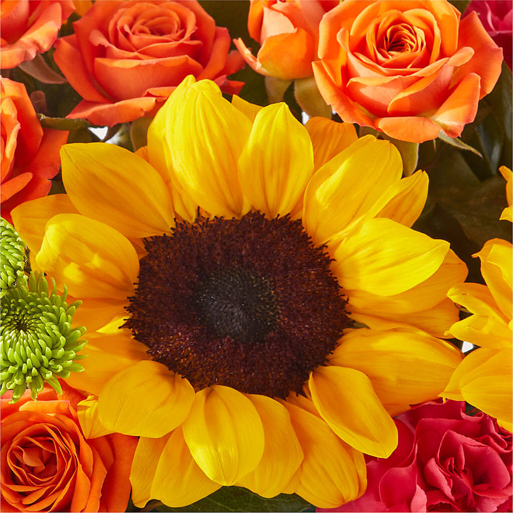 Sun-drenched Blooms Box Bouquet –  Flowers In The 419, Toledo OH