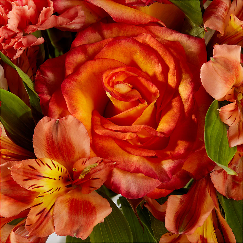 Apricot Glow Bouquet –  Flowers In The 419, Toledo OH