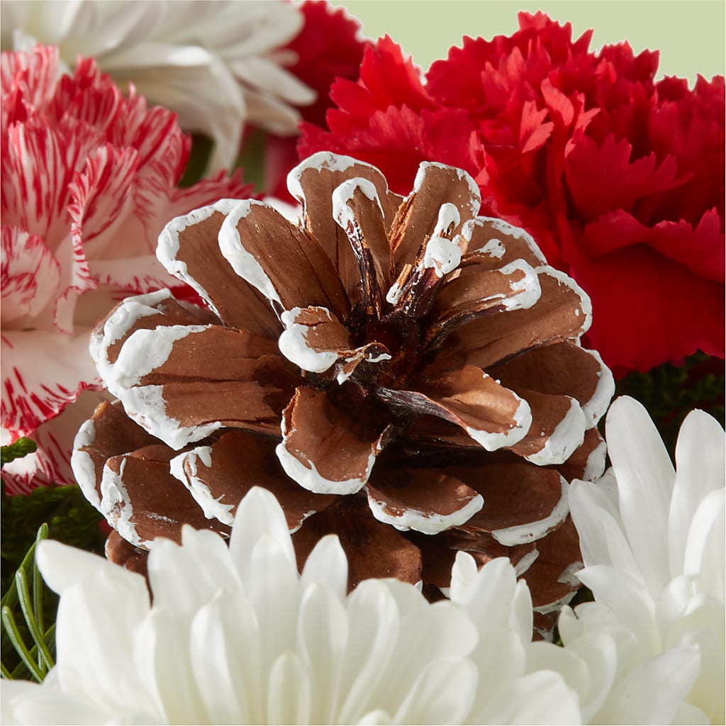 Candy Cane Lane Bouquet –  Flowers In The 419, Toledo OH