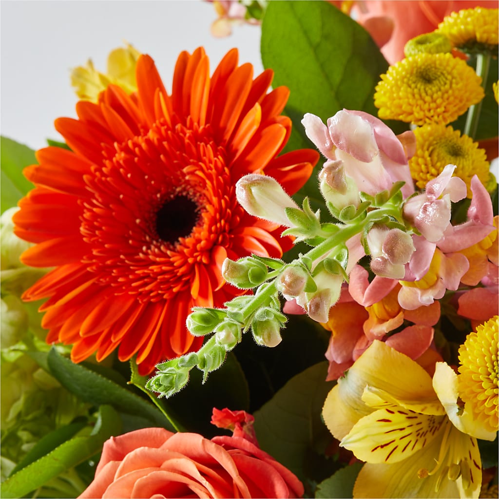 Autumn Sunshine Bouquet –  Flowers In The 419, Toledo OH