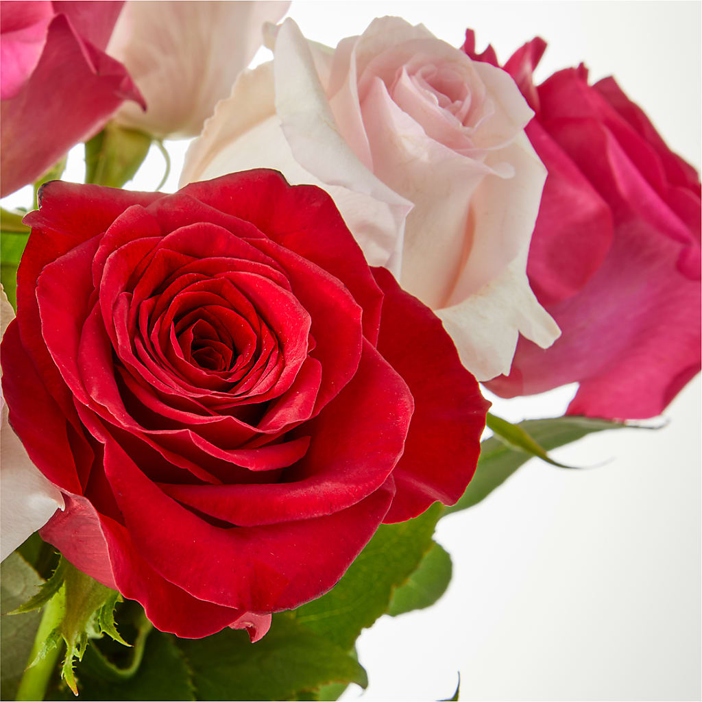 Charming Rose Bouquet –  Flowers In The 419, Toledo OH