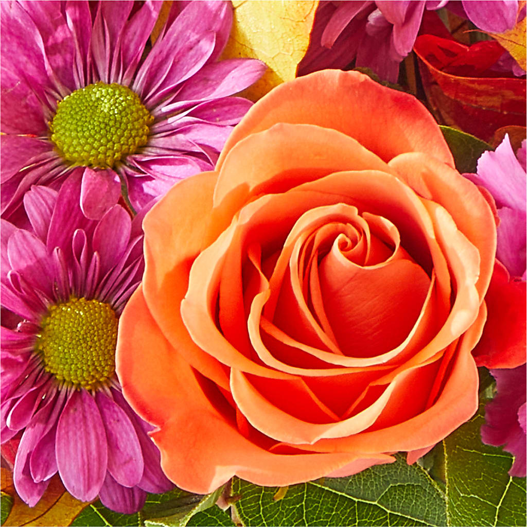 Mum's the Word Bouquet –  Flowers In The 419, Toledo OH