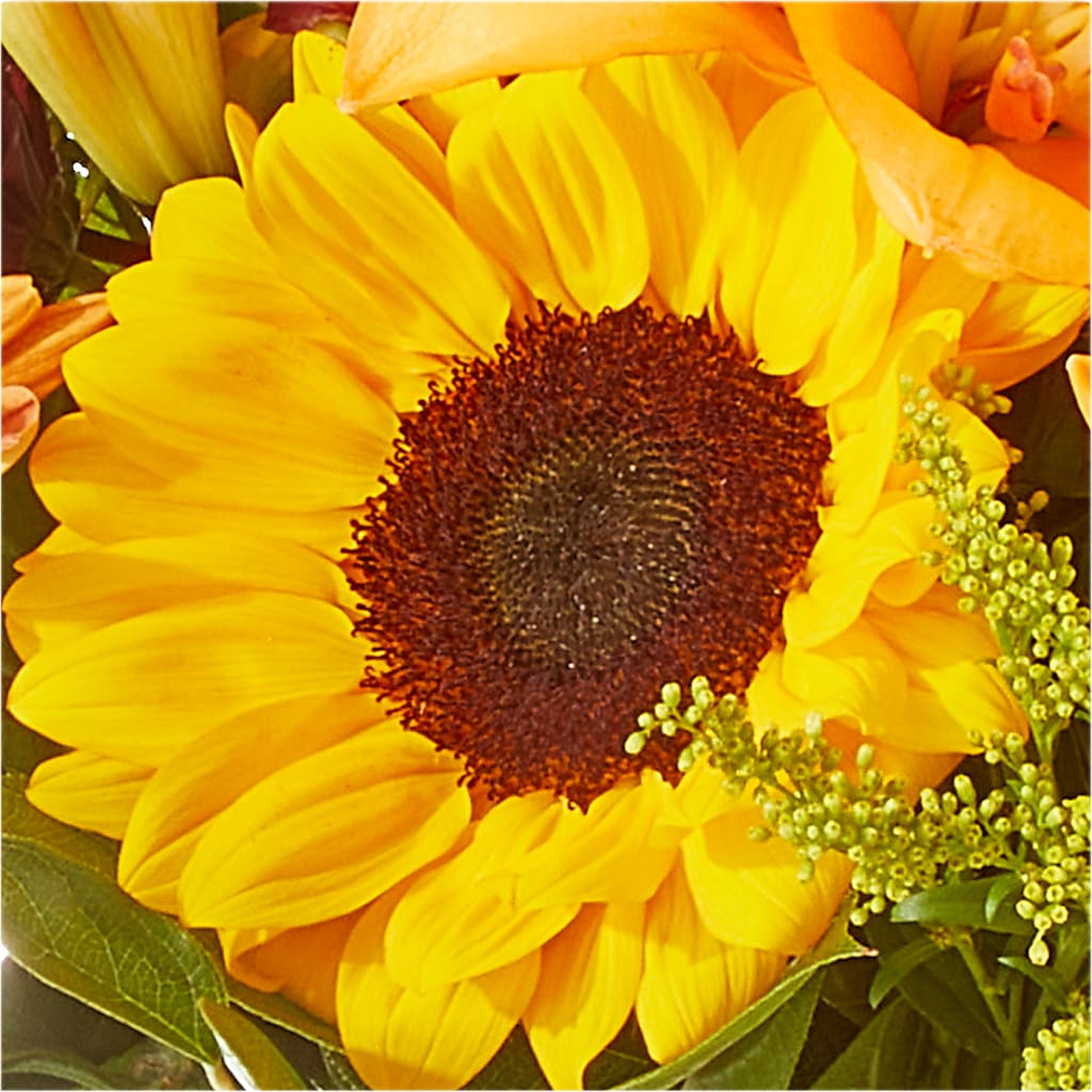 Seasons Change Bouquet –  Flowers In The 419, Toledo OH