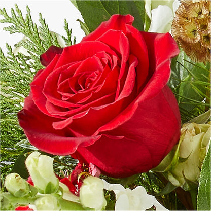 Deck the Halls Bouquet –  Flowers In The 419, Toledo OH