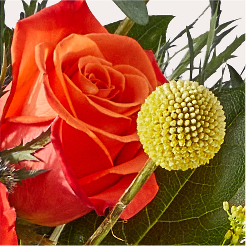 Disco Bouquet –  Flowers In The 419, Toledo OH