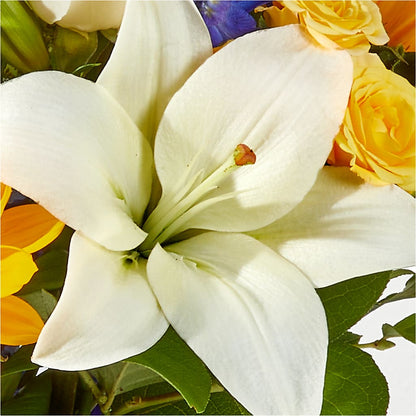 Wonderfully Sunny Bouquet –  Flowers In The 419, Toledo OH