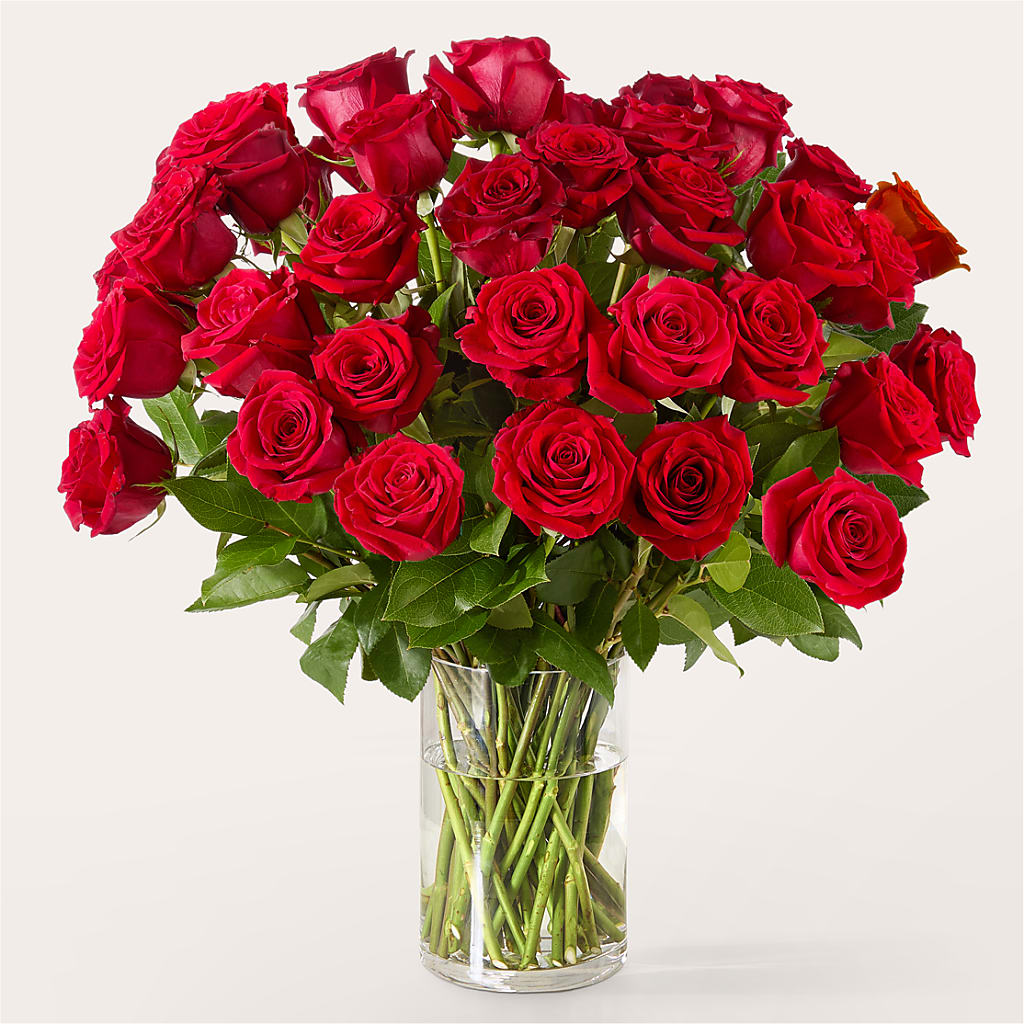 The One Red Rose Bouquet –  Flowers In The 419, Toledo OH