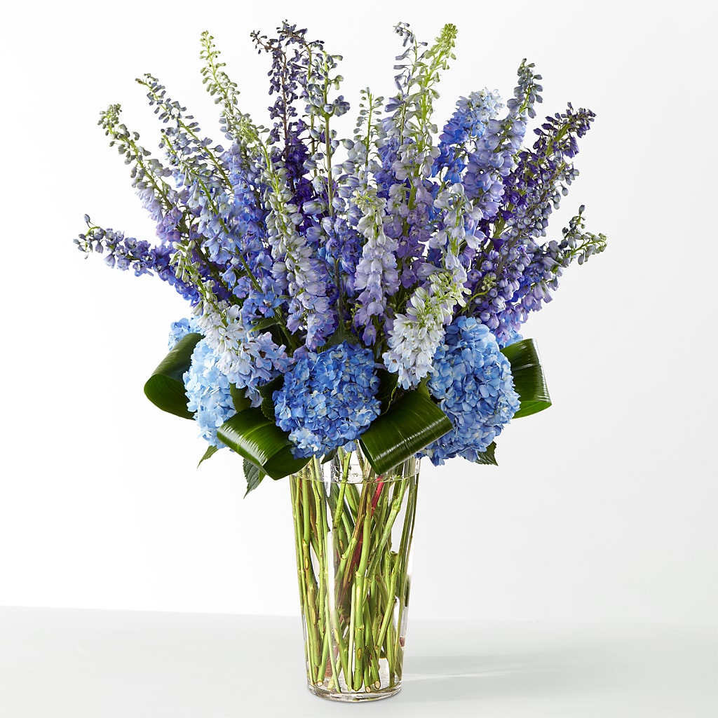The Editorial –  Flowers In The 419, Toledo OH